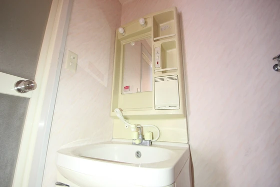 グレイスカワイⅠ