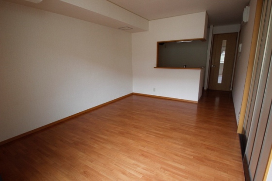 ヴィーブル石田