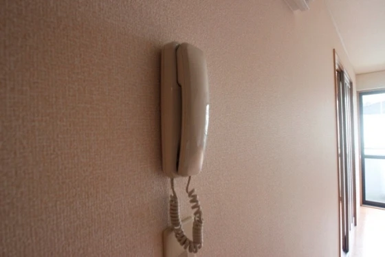 ヴィーブル石田