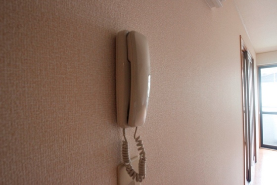 ヴィーブル石田