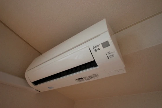 ヴィーブル石田