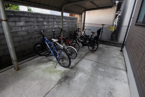 ヴィーブル石田