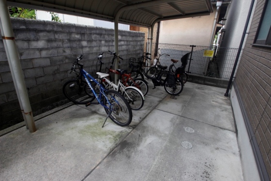 ヴィーブル石田