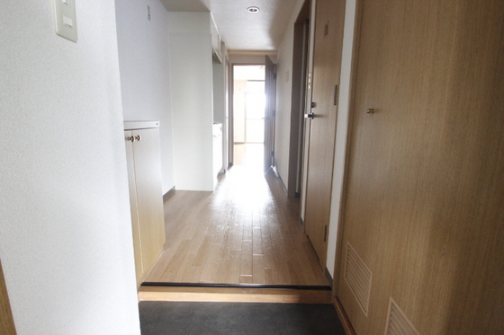 ウィルコートYONEKI