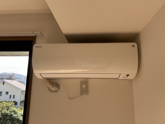 ハイカムール玉木