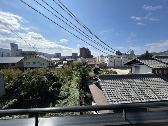 ハイカムール玉木