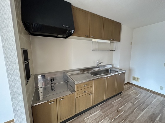 ハイカムール玉木