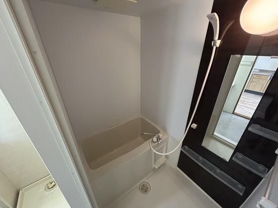 ハイカムール玉木