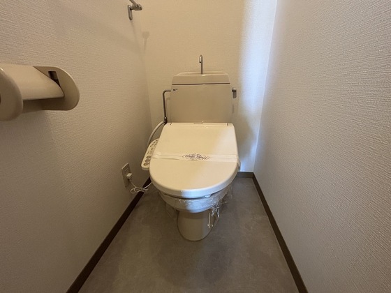 ハイカムール玉木