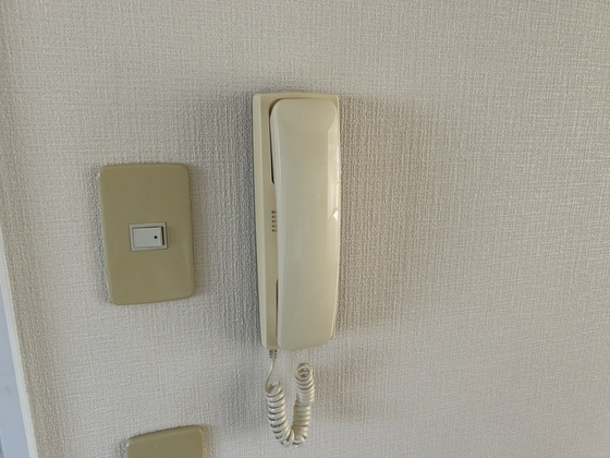 ハイカムール玉木