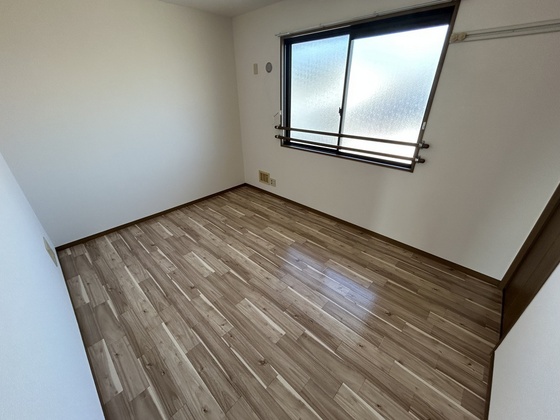 ハイカムール玉木