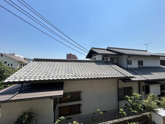 ハイカムール玉木