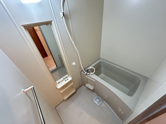 ハイカムール玉木