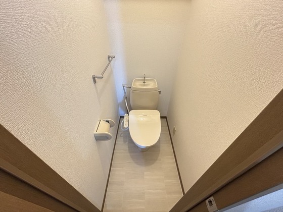 ハイカムール玉木