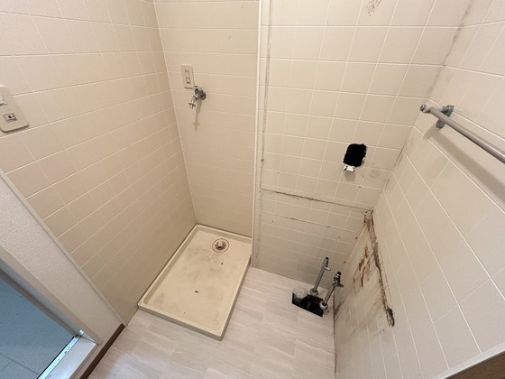 ハイカムール玉木