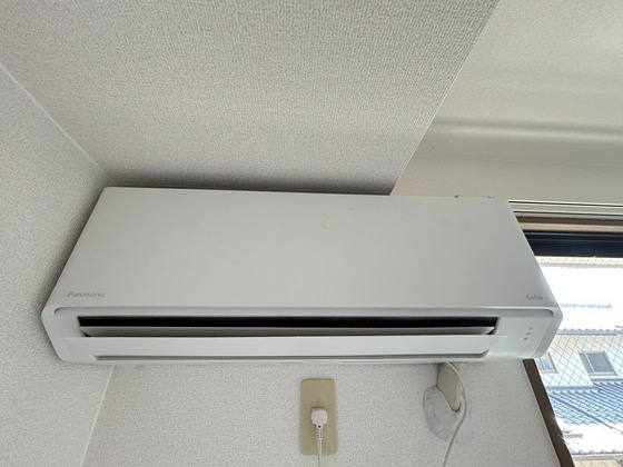 ハイカムール玉木