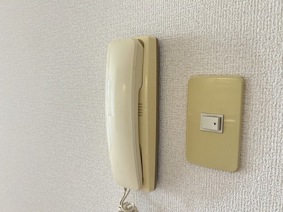 ハイカムール玉木