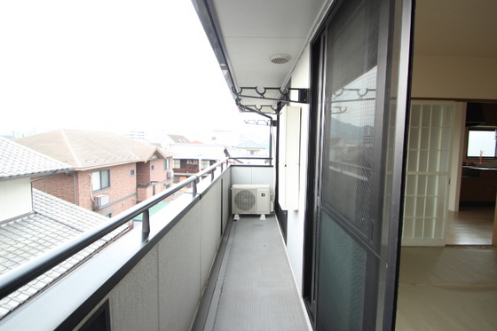 ハイカムール玉木