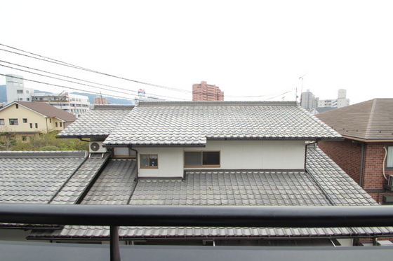 ハイカムール玉木