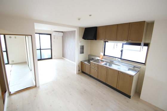 ハイカムール玉木