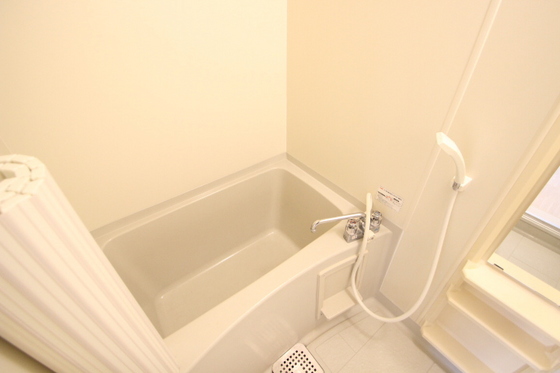 ハイカムール玉木