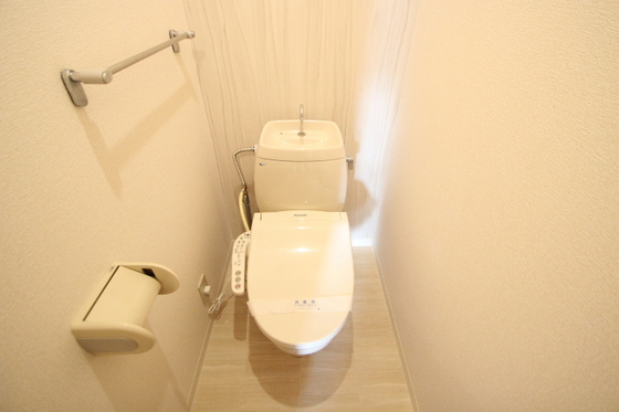 ハイカムール玉木