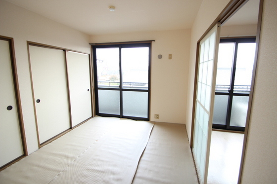 ハイカムール玉木