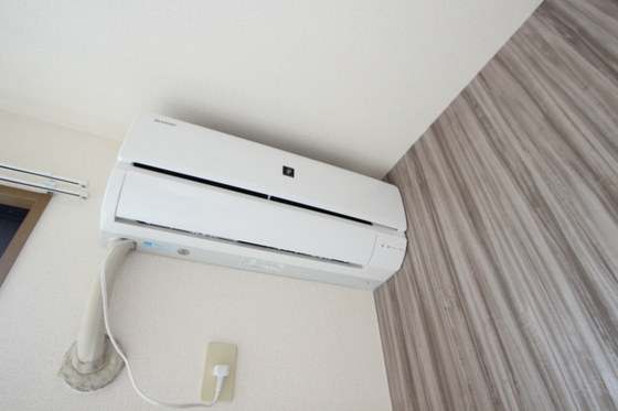 ハイカムール玉木