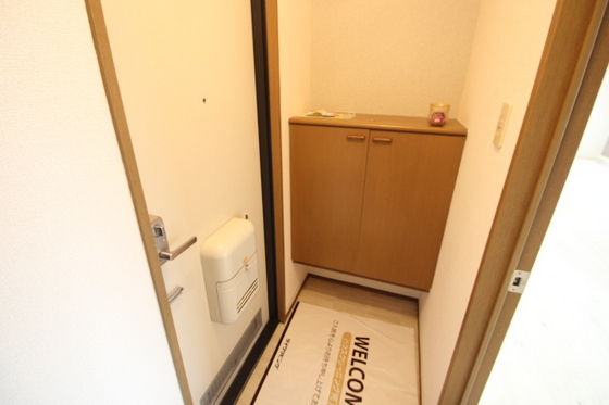 ハイカムール玉木