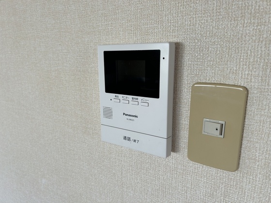 ハイカムール玉木