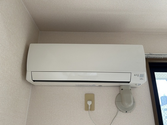 ハイカムール玉木