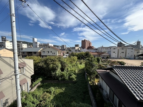 ハイカムール玉木