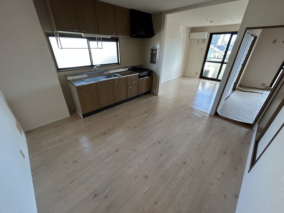 ハイカムール玉木