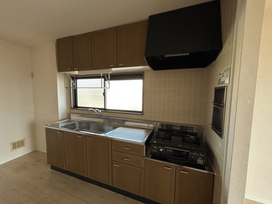 ハイカムール玉木