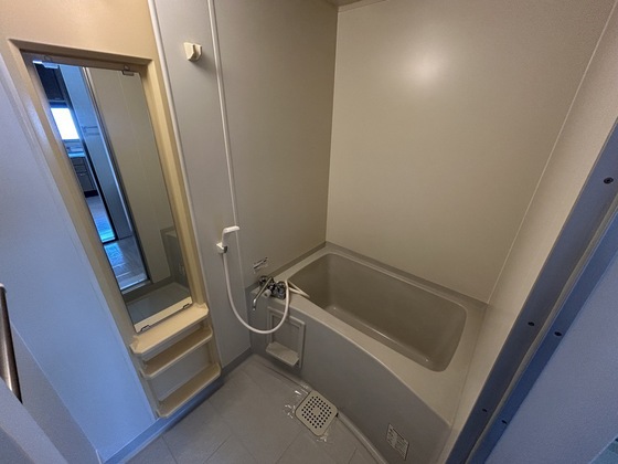 ハイカムール玉木