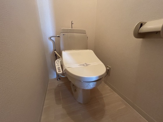 ハイカムール玉木