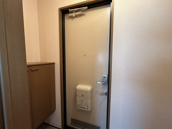 ハイカムール玉木