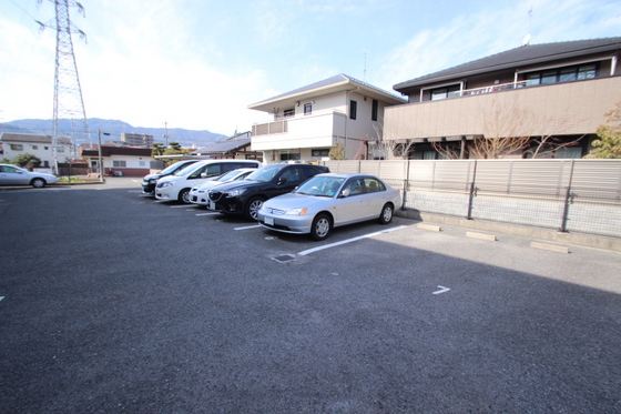 ハイカムール玉木