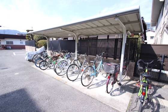 ハイカムール玉木