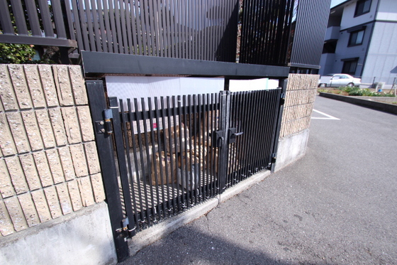 ハイカムール玉木