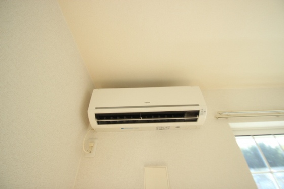 ナーシサス ガーデン