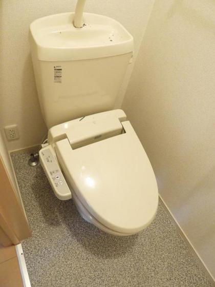 ナーシサス ガーデン