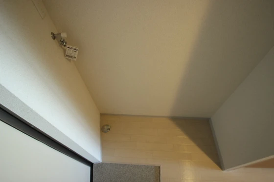 エストレビータⅡ