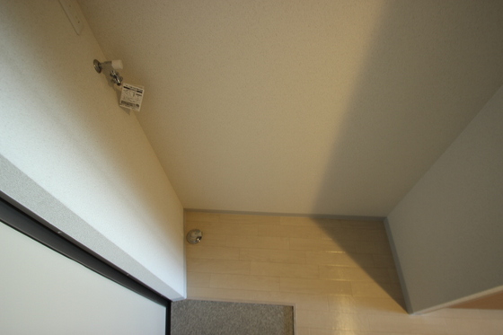 エストレビータⅡ