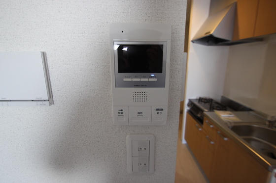 エストレビータⅡ