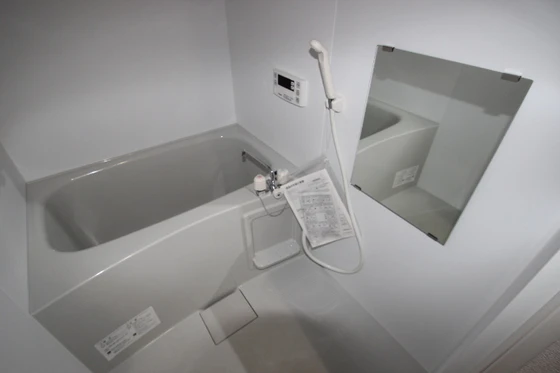 エストレビータⅡ