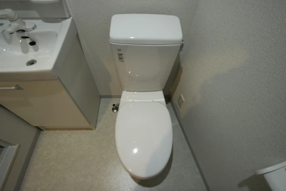 エストレビータⅡ