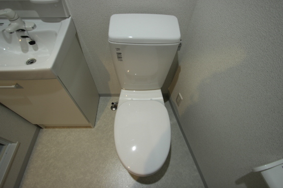 エストレビータⅡ