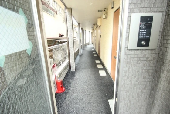 エストレビータⅡ