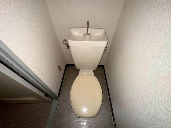 コンフォートT.T